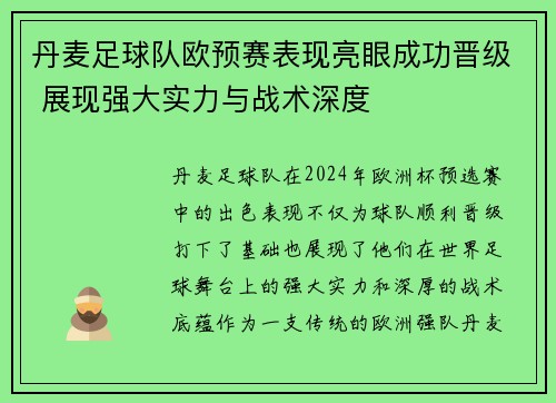 丹麦足球队欧预赛表现亮眼成功晋级 展现强大实力与战术深度
